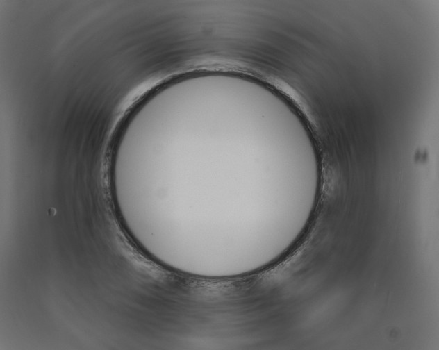 X0000090981074200708021136