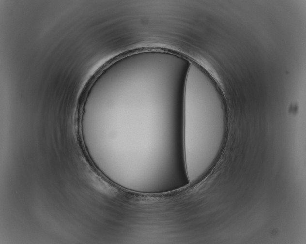 X0000090981076200708021136