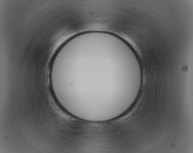 X0000090981078200708021136
