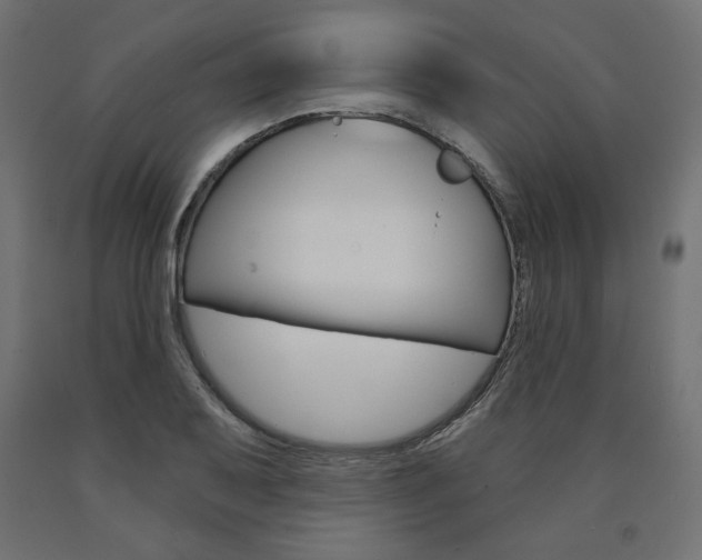 X0000090981079200708021136