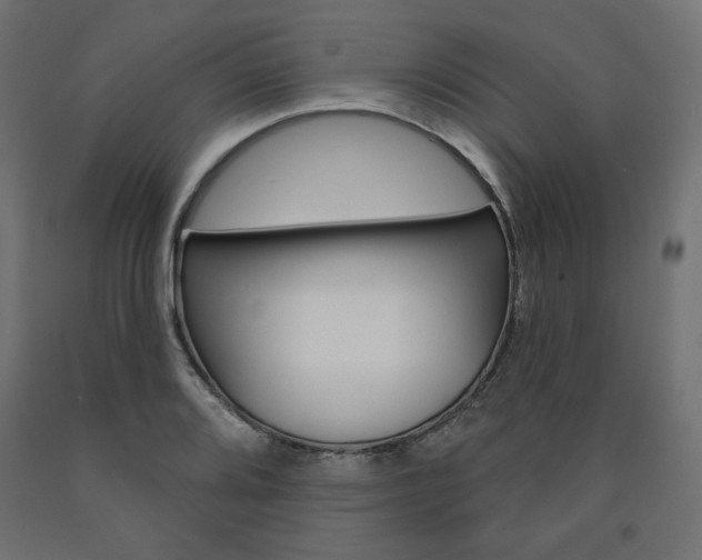 X0000090981080200708021136