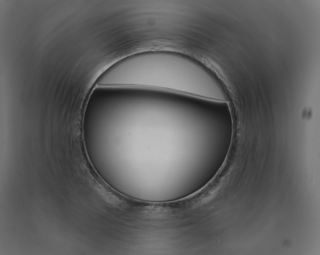 X0000090981081200708021136