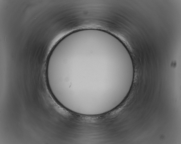 X0000090981086200708021136