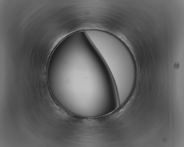 X0000090981089200708021136