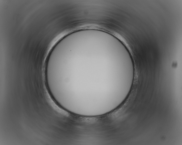 X0000090981090200708021136