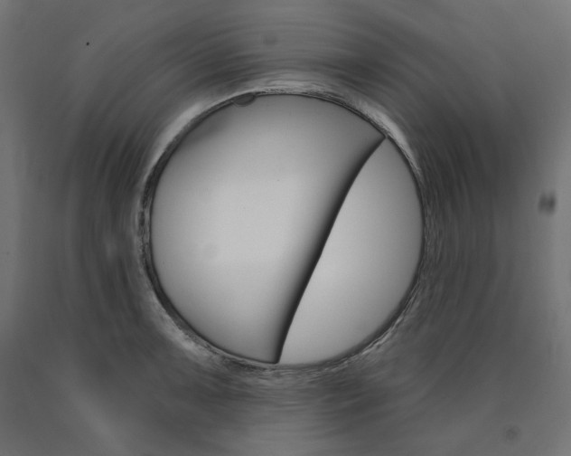 X0000090981091200708021136