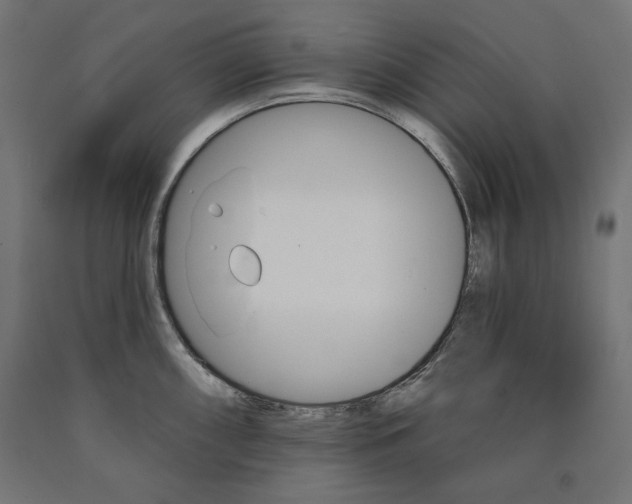 X0000090981098200708021136