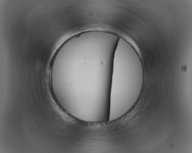 X0000090981099200708021136