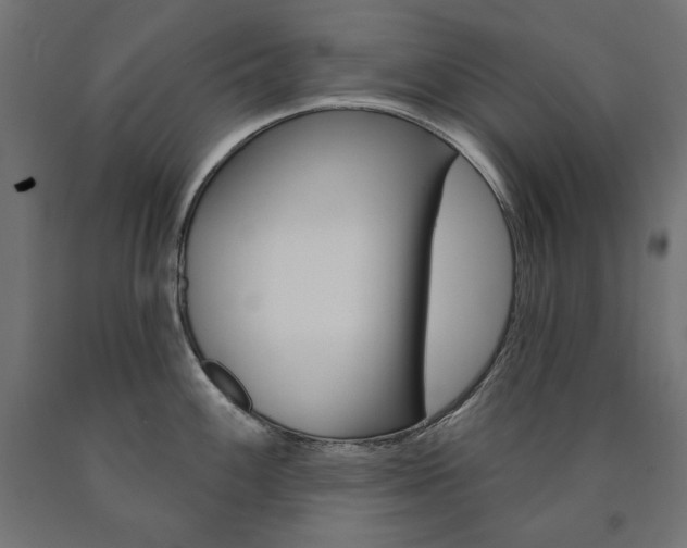 X0000090981100200708021136
