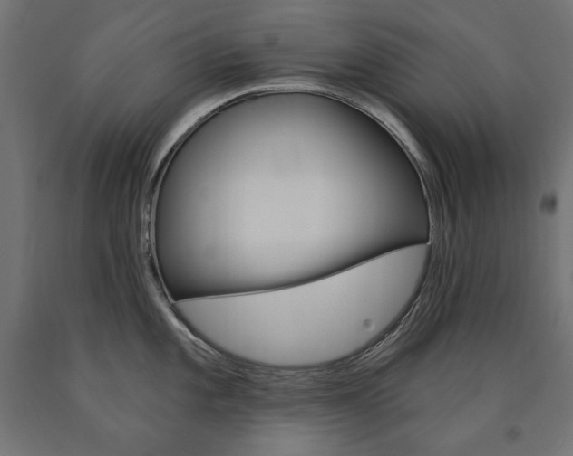 X0000090981101200708021136