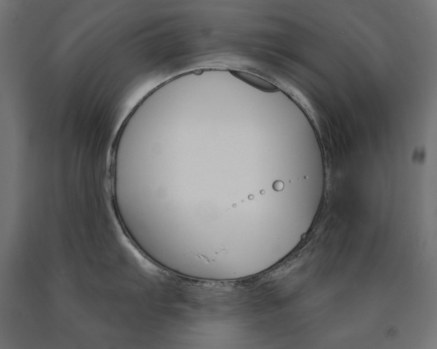 X0000090981103200708021136