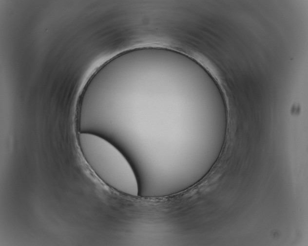 X0000090981104200708021136