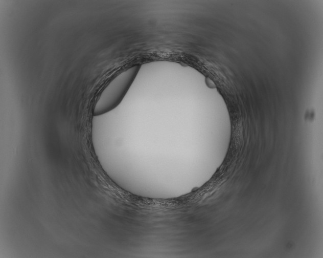 X0000090981105200708021135
