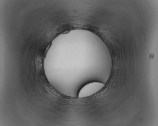 X0000090981106200708021135