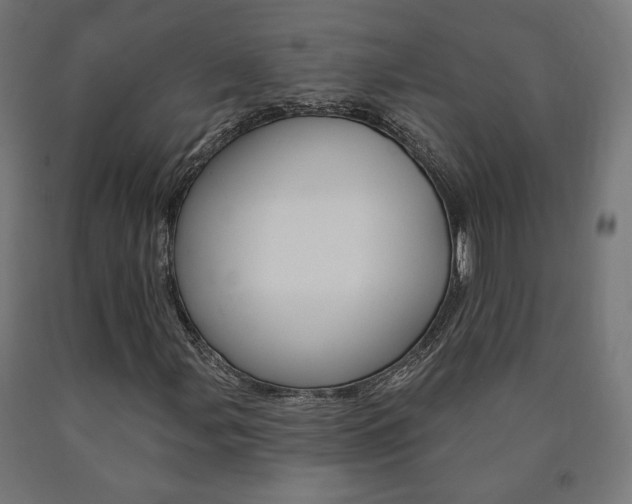 X0000090981107200708021135