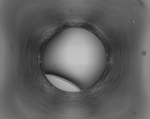 X0000090981108200708021135