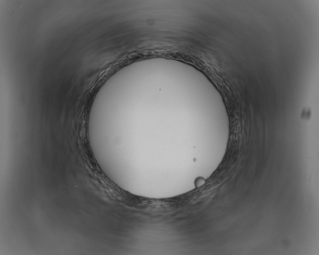 X0000090981109200708021135