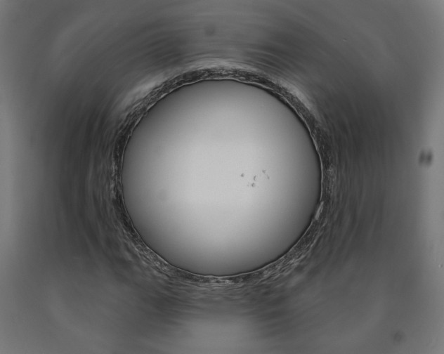 X0000090981111200708021135
