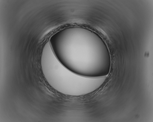 X0000090981112200708021135