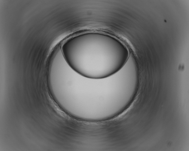 X0000090981114200708021135