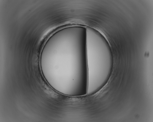 X0000090981115200708021135