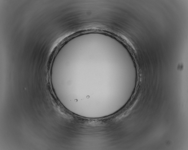 X0000090981117200708021135