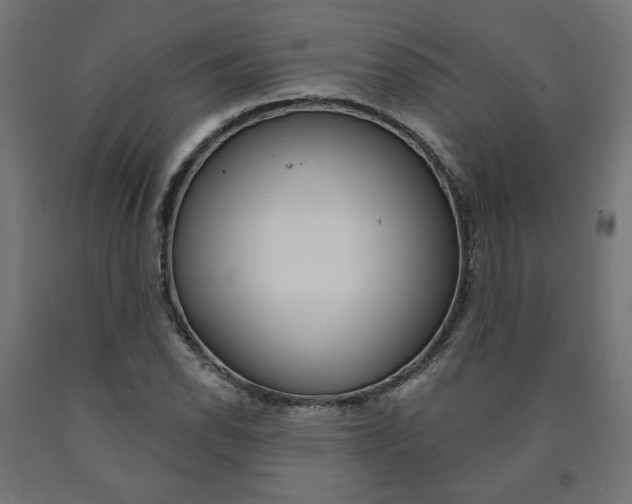 X0000090981118200708021135