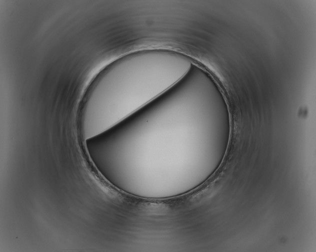 X0000090981119200708021135