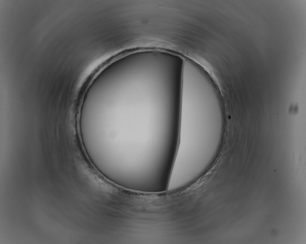 X0000090981120200708021135