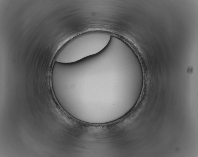 X0000090981121200708021135