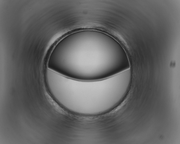 X0000090981122200708021135