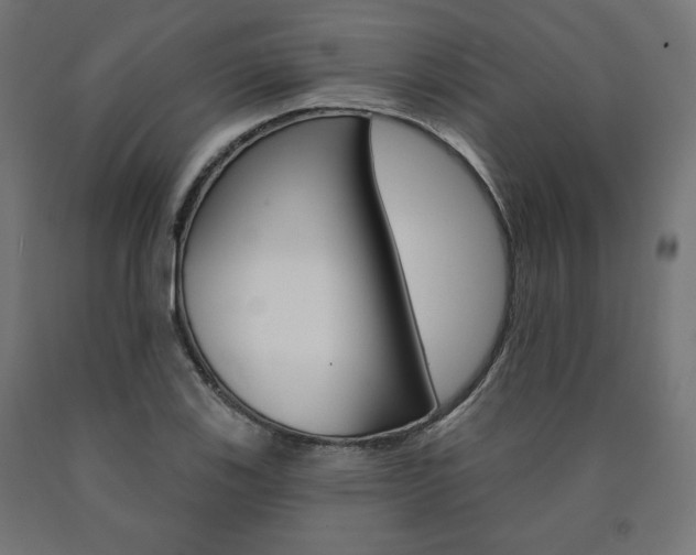 X0000090981123200708021135