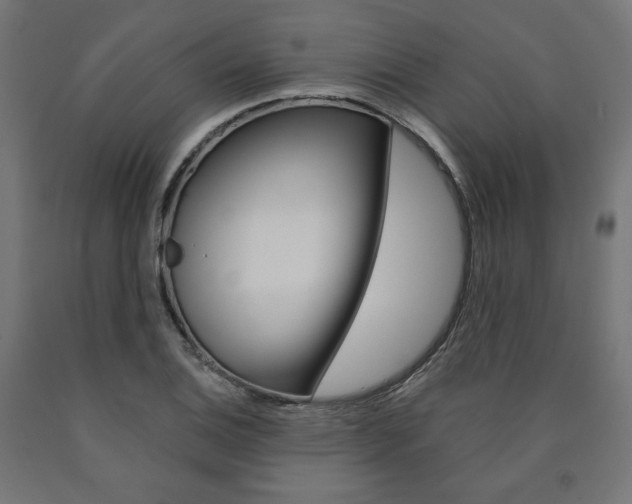 X0000090981124200708021135