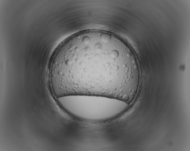 X0000090981125200708021135