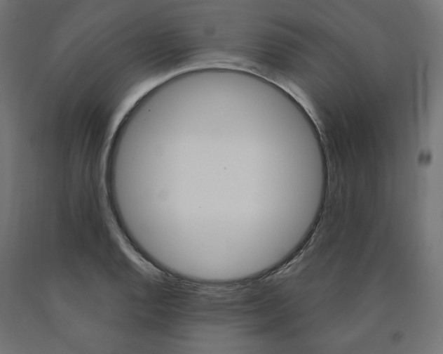 X0000090981128200708021136