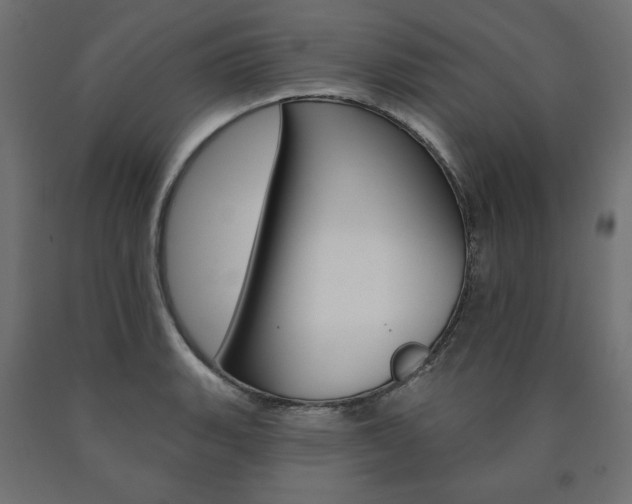 X0000090981135200708021136