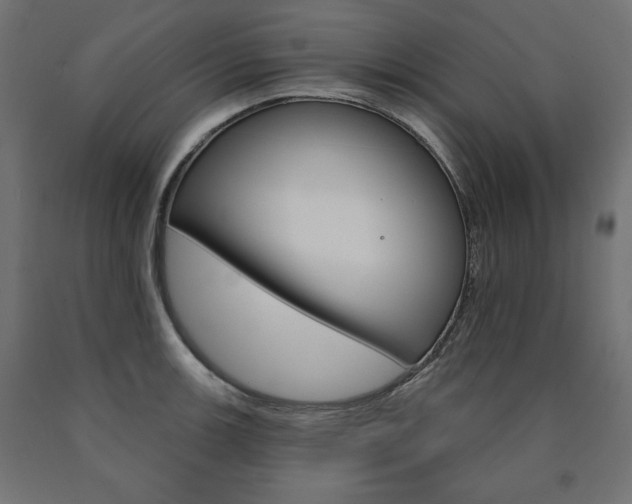 X0000090981139200708021136