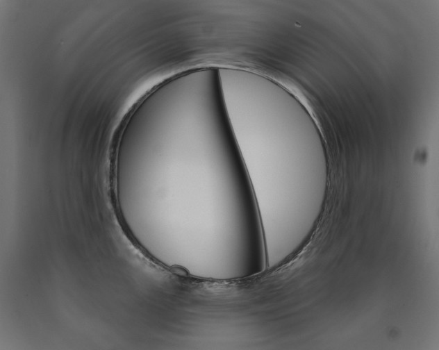 X0000090981147200708021136