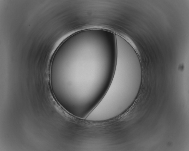 X0000090981148200708021136