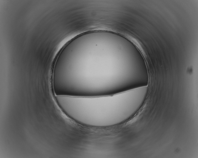 X0000090981149200708021136