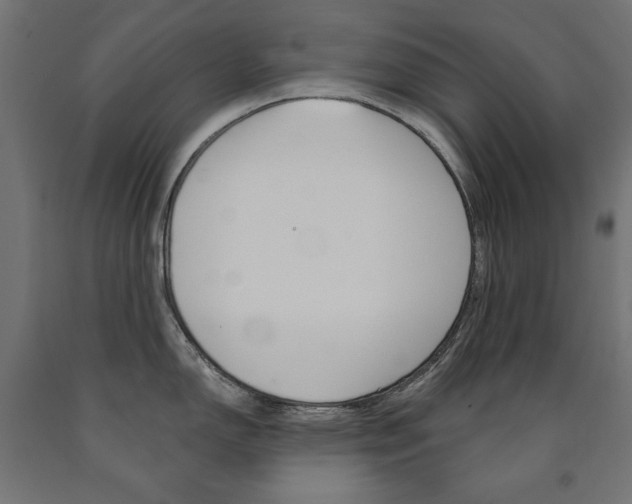 X0000090981150200708021136