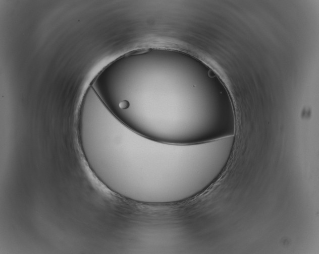 X0000090981152200708021136