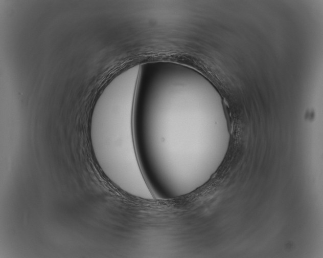 X0000090981153200708021135
