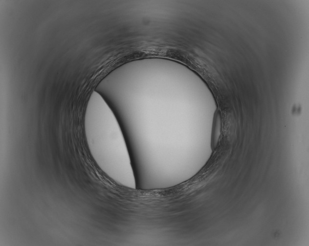 X0000090981154200708021135