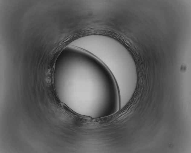 X0000090981156200708021135