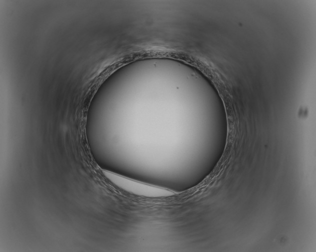 X0000090981157200708021135