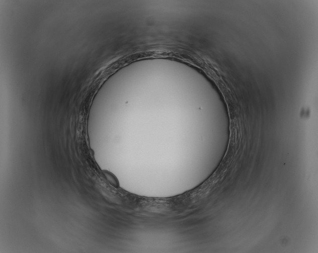 X0000090981158200708021135