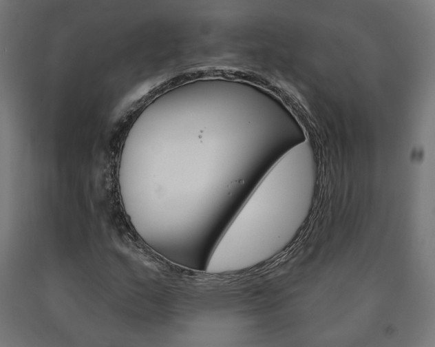 X0000090981159200708021135