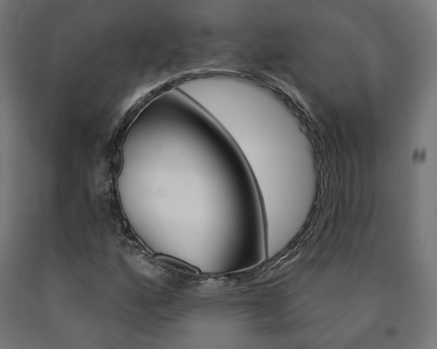 X0000090981160200708021135