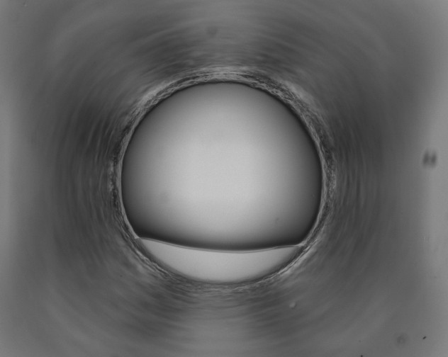 X0000090981161200708021135